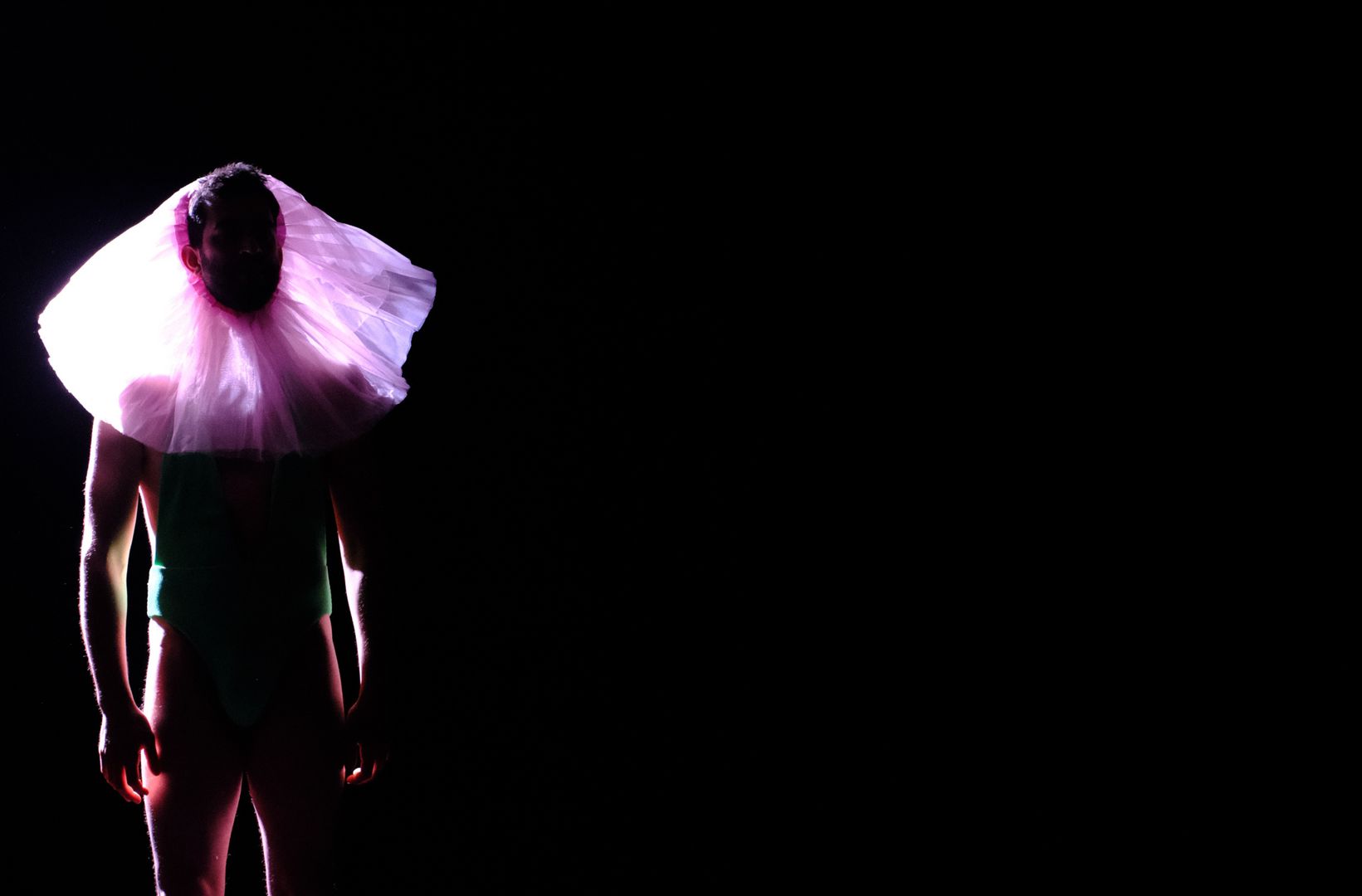 Spettacoli Teatro dell'Argine